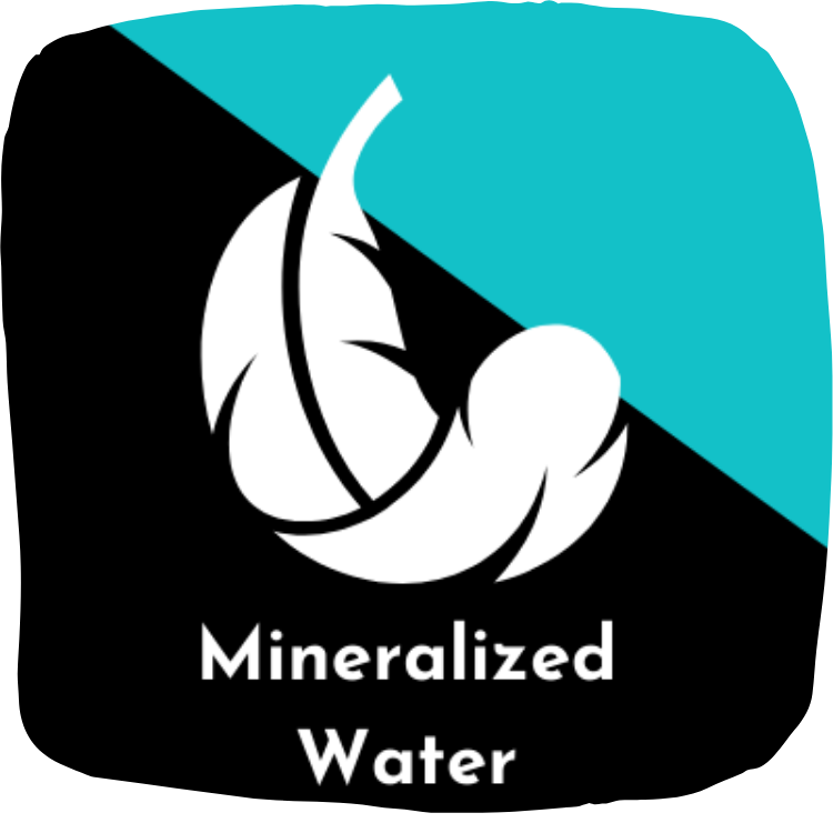 Badget Mineralized Water with our high pressure shower head