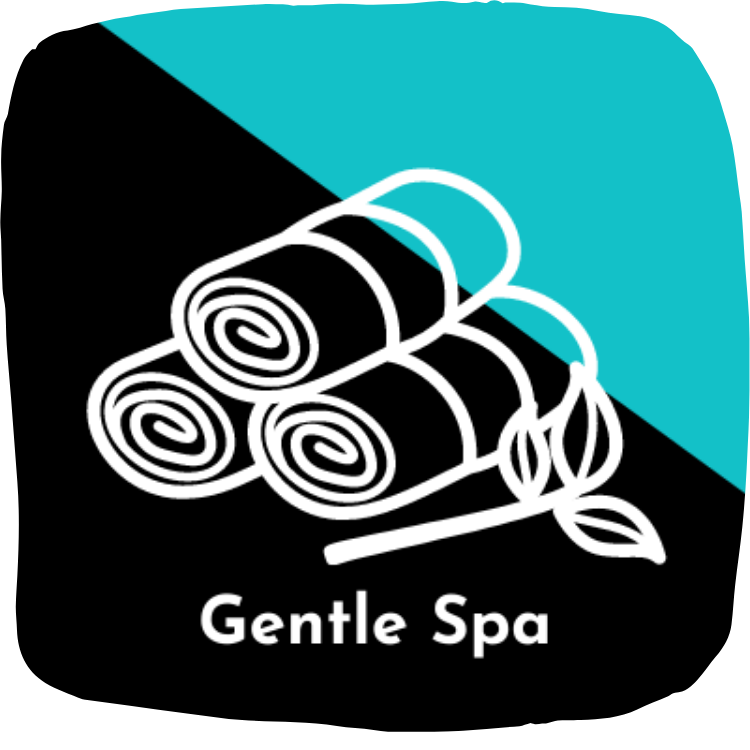 Badget Gentle SPA with our high pressure shower head