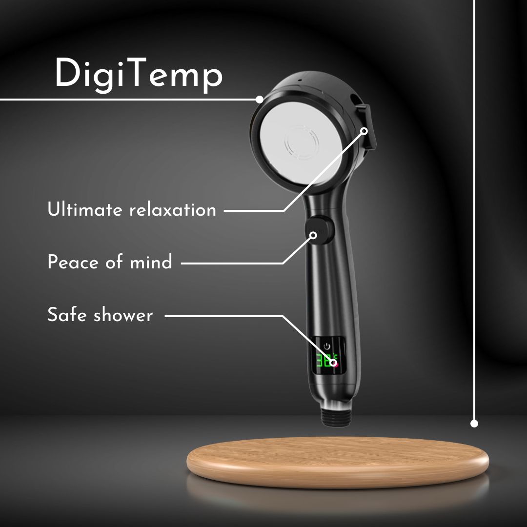 (NEW) DigiTemp Digital Shower Head